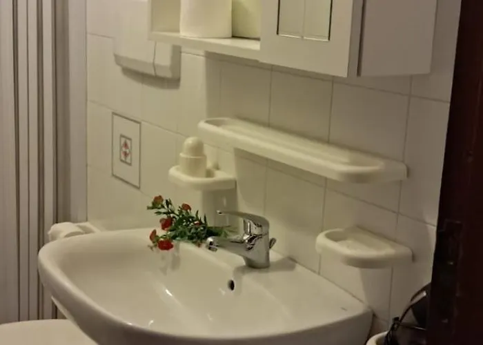 Stella