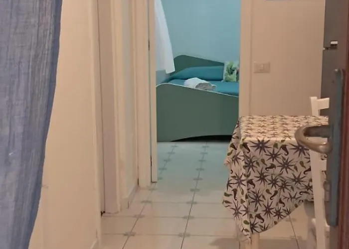 Stella *